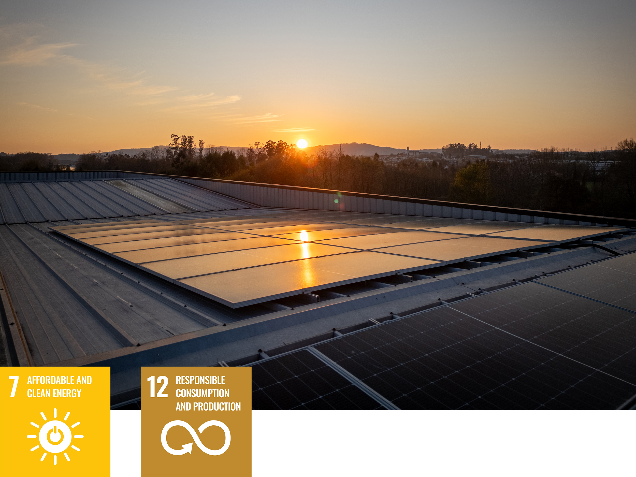 AML | Sustentabilidade| BANNER 2