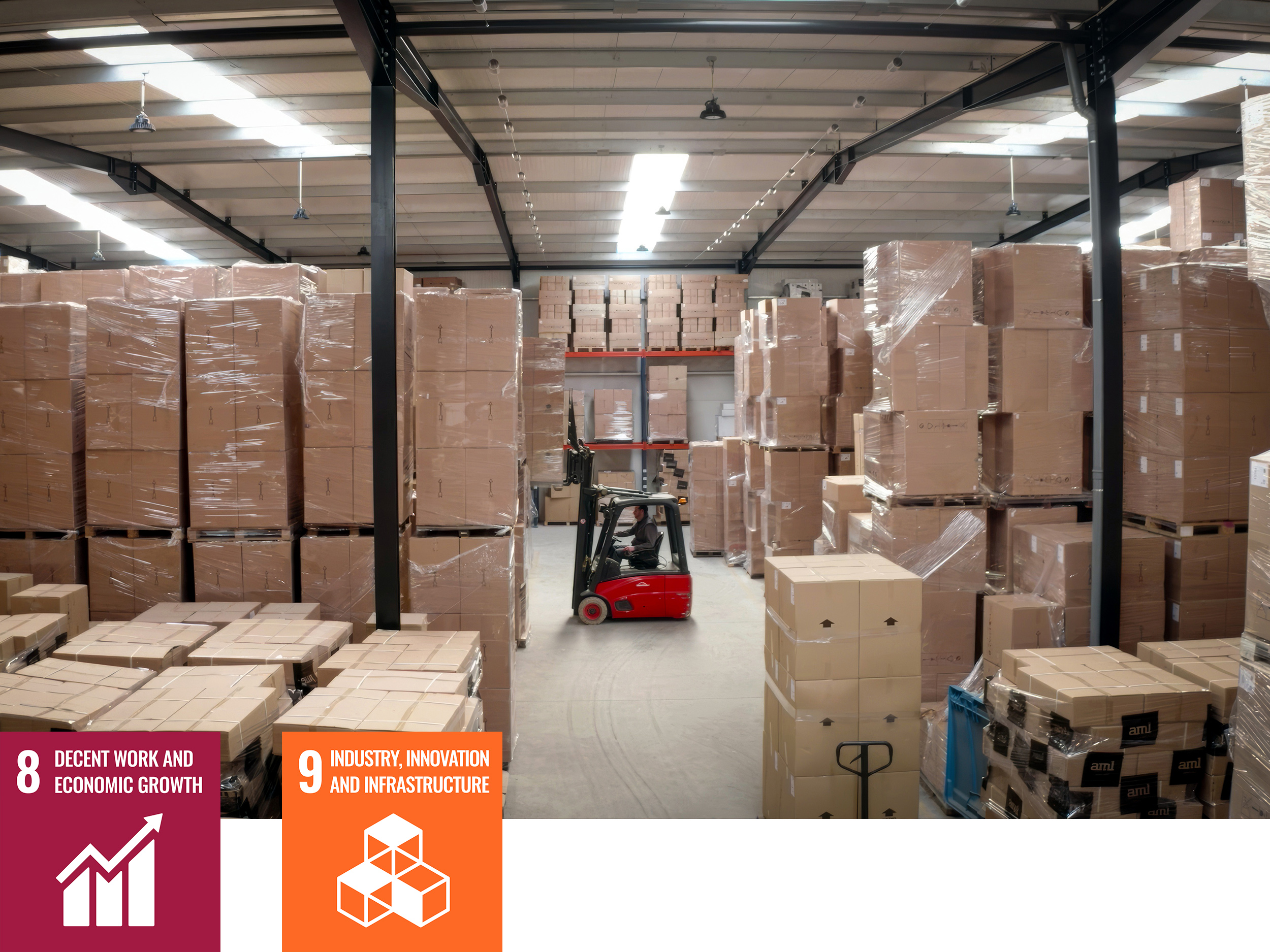 AML | Sustentabilidade| BANNER 4